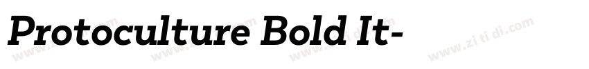 Protoculture Bold It字体转换